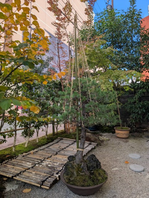 作品集・葉月園